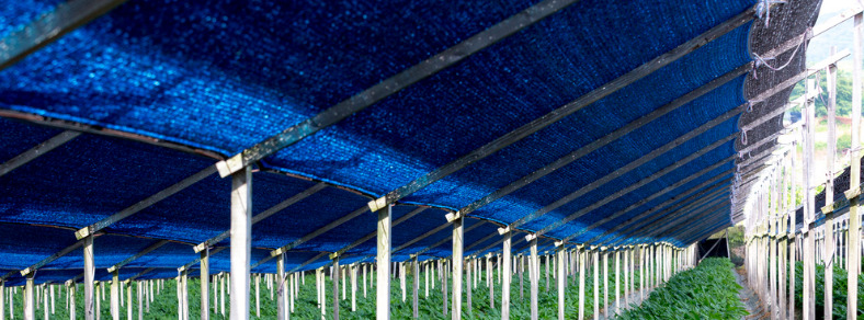 안산천막제작시공대여